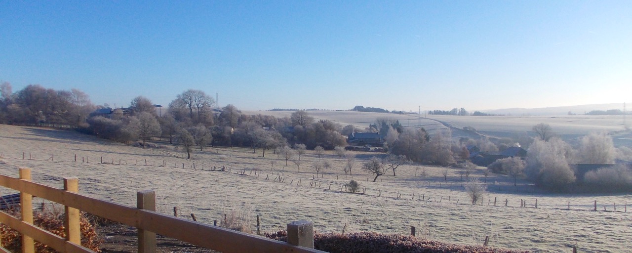 Terug naar de natuur